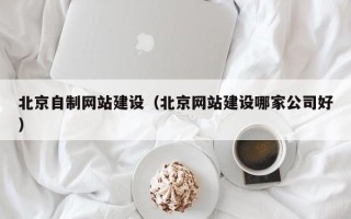 潍坊北京自制网站建设（北京网站建设哪家公司好）